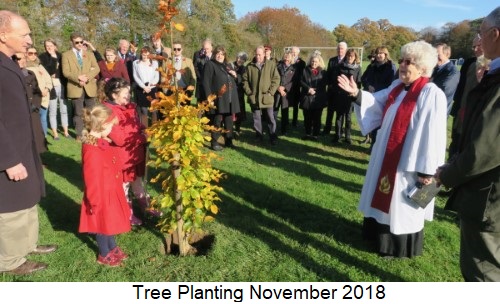 Tree Planting November 2018